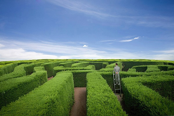 FreeGreatPicture.com-29150-interesting-business-image